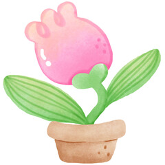 flower in a pot