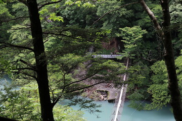 夢のつり橋