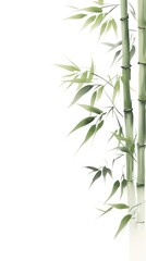 Bamboo backgrounds plant branch.