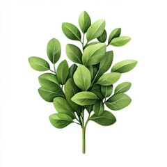 Obraz premium Fresh Green Leaves Arrangement on White Background for Natural and Organic Themes in Design Projects