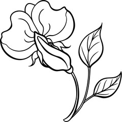 hand drawn flower