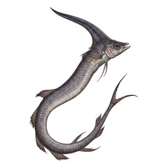 Fototapeta premium Oceanic Deep-Sea Anglerfish's Graceful Dance.