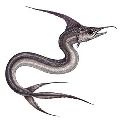 Obraz premium Deep-Sea Serpent's Graceful, Sinuous Swim