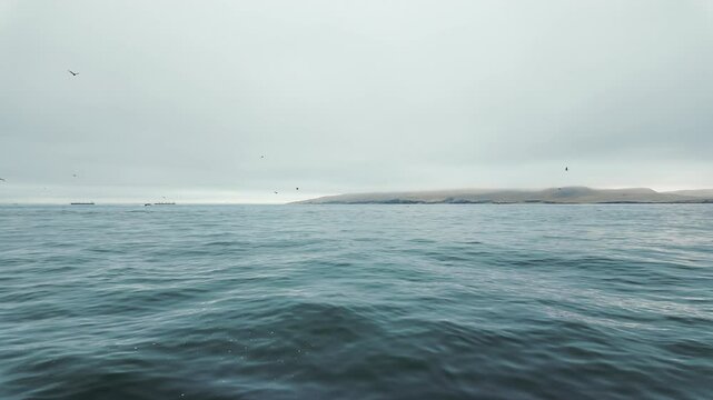 Cloudy day over the Pacific Ocean with numerous birds flying, and the Peruvian coastline of Paracas National Reserve in the background.