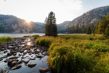 Riparian Sunset In Beautiful Wilderness