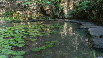 A pedestrian path made of concrete sections runs along the perimeter of the pond along the cliff. Green leaves of water lilies on water. Reflection. China. Heavenly Star Bridge. Stone Forest in Water