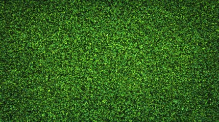 Obraz premium Fresh and Lush Green Grass Texture for Natural Background Use