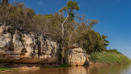A calm red-brown African river. The coastal limestone cliffs are eroded. Trees, green grass on the riverbank. The blue sky. Madagascar. Manambolo river. 
