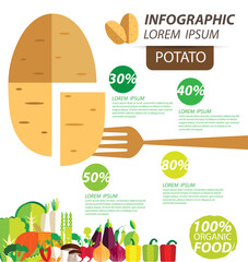 potato , infographics. vegetables vector illustration