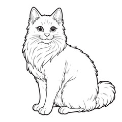 Obraz premium Curious Kitty