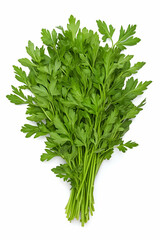 Fresh parsley bunch on white background for sale or cooking ingredient closeup generative AI