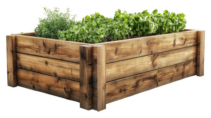 Growing fresh herbs and vegetables in a wooden planter box isolated on transparent background