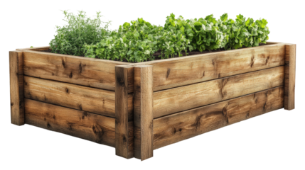 Growing fresh herbs and vegetables in a wooden planter box isolated on transparent background