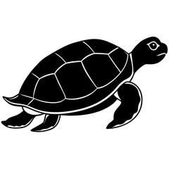 Cute Silhouette Turtle Line Art Black Vector Carton Illustration