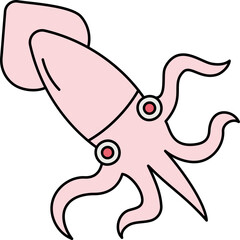 Squid Illustration