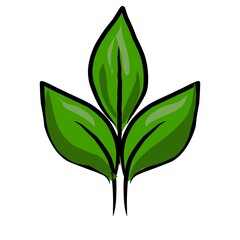 Green leaf icons. Leaves of trees and plants. Leaves icon.Elements design for natural, eco, bio, vegan labels. 