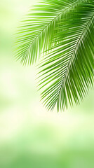Obraz premium Palm fronds gently waving with dappled sunlight. Tropical theme for backdrop use generative AI
