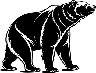 Detailed bear silhouette illustration - minimallest bear vector