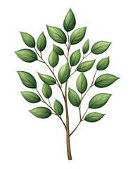 Naklejka premium Tree branch with green leaves on white background, for nature study or decoration generative AI