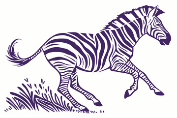 zebra vector illustration