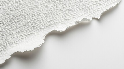 Close-up of textured white paper with a torn edge against a smooth white background