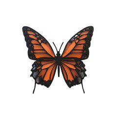 Elegant Monarch Butterfly Design -  Intricate Cutout Illustration
