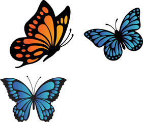 set of vector butterflies