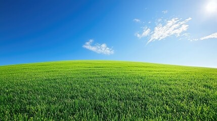 Obraz premium Lush green field under a clear blue sky with wispy clouds, ideal for nature and outdoor themes