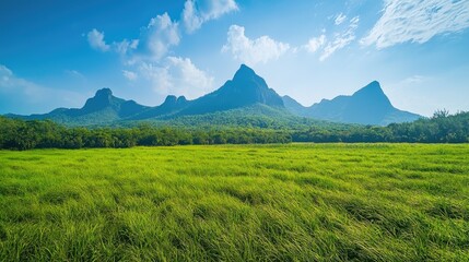 Scenic view of lush green fields with majestic mountains under a clear blue sky