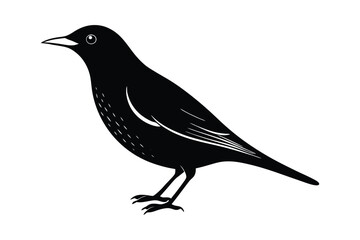 A black and white vector art illustration of a bird3.eps