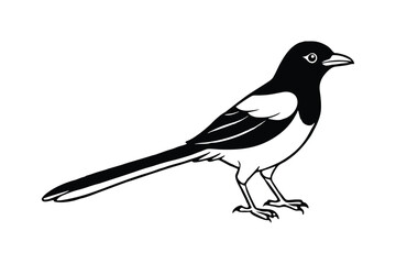 A black and white vector art illustration of a Oriental magpie3.eps