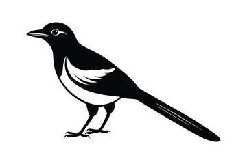 Fototapeta premium Silhouette of a Oriental magpie vector art illustration3.eps