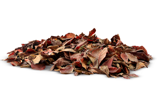 dried pile leaf trash isolated on white, transparent background. png