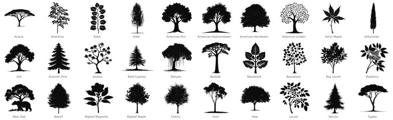 30 Set Tree Silhouette Vector Illustration