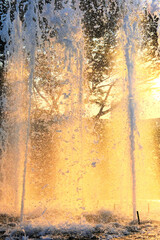 Fototapety na wymiar - Fototapeta24.pl