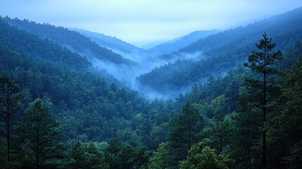 Serene misty valley surrounded by lush green forests at dawn, evoking tranquility and peace