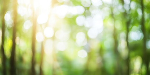 Fototapeta premium Sunlight Filtering Through Lush Green Forest Canopy Creating Soft Bokeh Effect