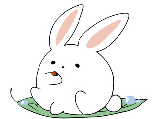 うさぎ テントウムシ