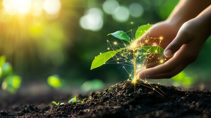 Fototapeta premium Digital Growth: Hands Nurturing A Connected Seedling, Symbolizing Technology, Ecology, And Sustainable Innovation.