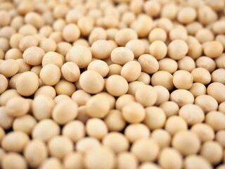 유기농 콩, 음식, 요리재료 