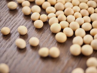 유기농 콩, 음식, 요리재료 