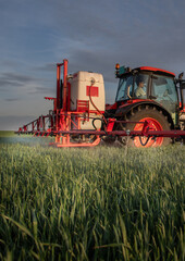Obraz premium Tractor spraying pesticides wheat field.