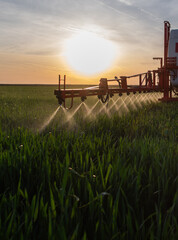 Tractor spraying pesticides wheat field. © Dusan Kostic