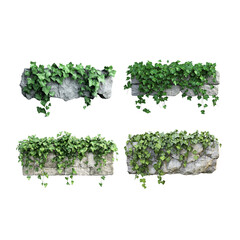 3D rendering of a green-leaved ivy climbing a stone wall. on a white background
