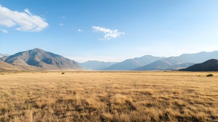Vast Dry Grass Field With Mountains And Blue Sky