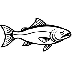 Cute Silhouette Salmon Line Art Black Vector Carton Illustration