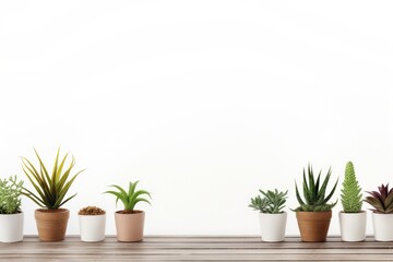 Fototapeta premium Plant windowsill table wood.