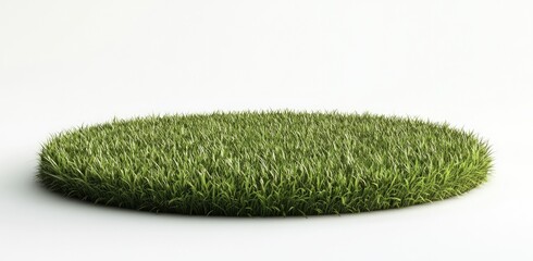 Circular Patch of Grass:  A pristine, circular patch of lush green grass, perfectly isolated against a clean white background.  This image exudes simplicity.
