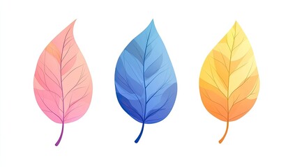 Fototapeta premium Colorful autumn leaves illustration, white background, design elements