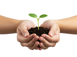 A close-up image of a tiny sprout emerging from soil held gently in two hands